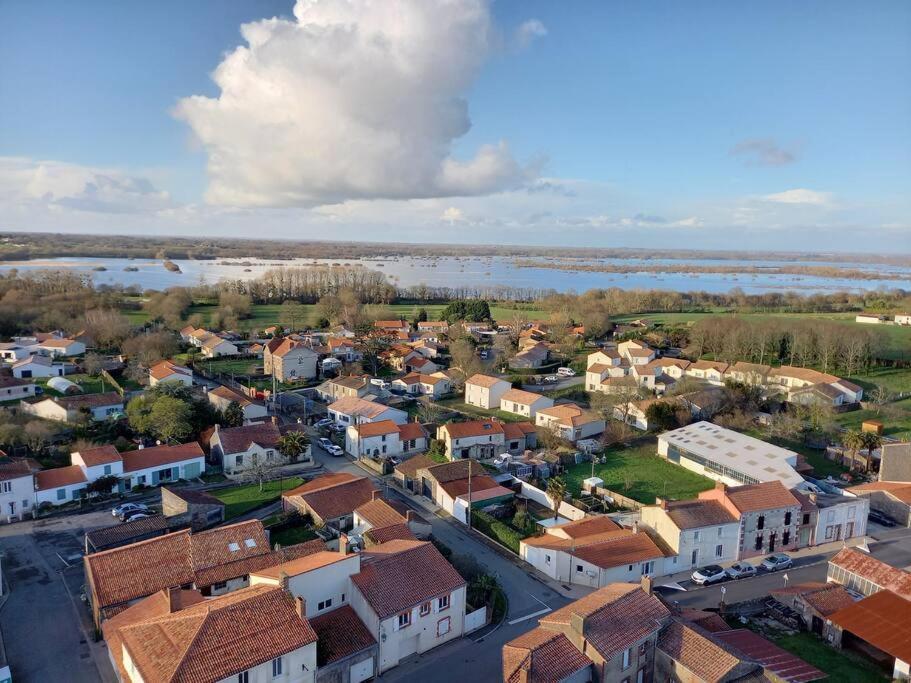 Saint-Lumine-de-Coutais Lac Grand Lieu : Maisonnette Au Calme Avec Jardin מראה חיצוני תמונה